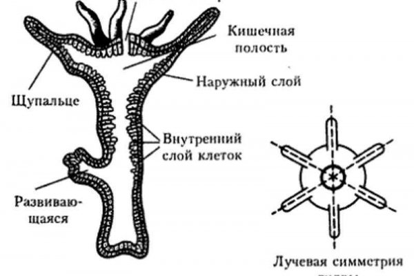 Купить наркотики онлайн