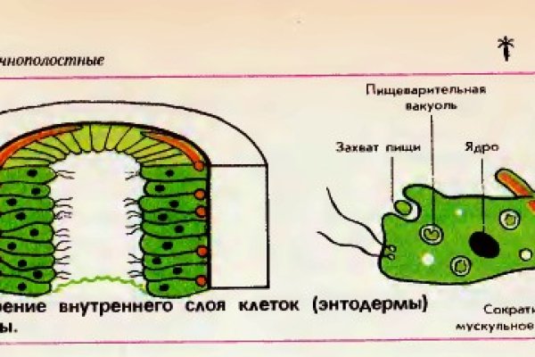 Кракен нарка шоп